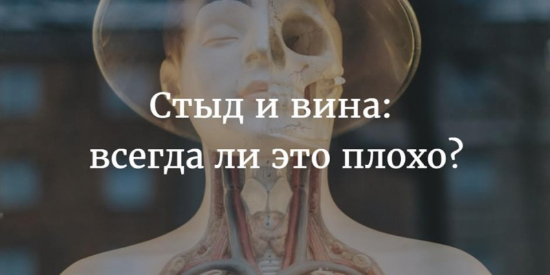 [Смирнов Сергей] Анатомия стыда и вины (2019)_0.png